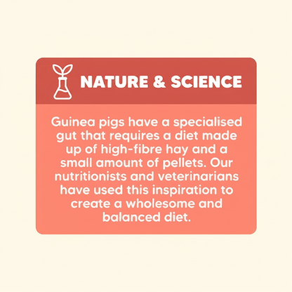 Nature & Science - Square