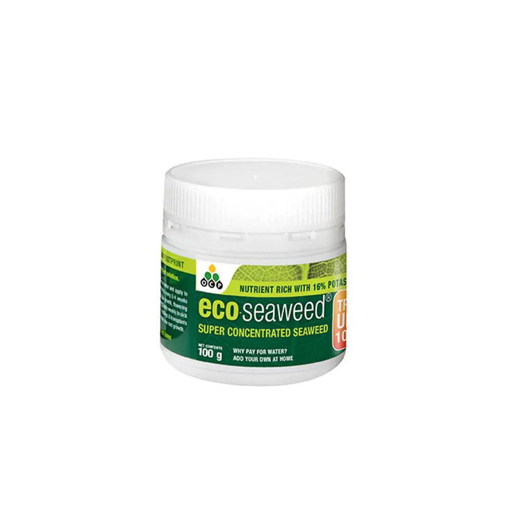OCP Eco-Seaweed Super Concentrated Seaweed Powder