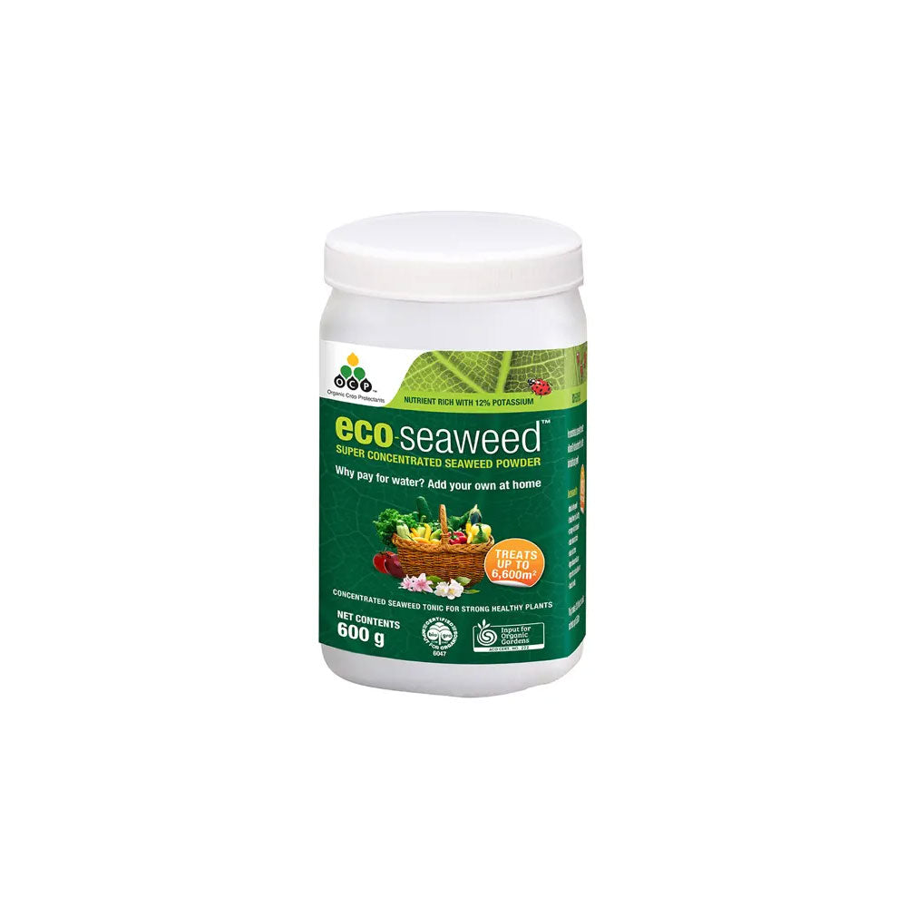 OCP Eco-Seaweed Super Concentrated Seaweed Powder