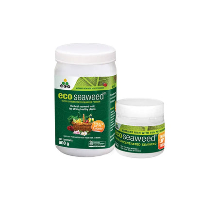 OCP Eco-Seaweed Super Concentrated Seaweed Powder