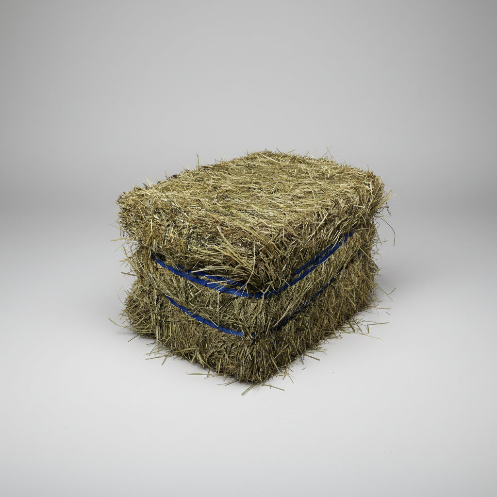 Oxley Feed Mill Eco Bale Pasture Hay