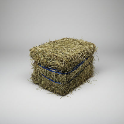 Oxley Feed Mill Eco Bale Pasture Hay