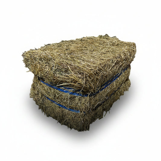 Oxley Feed Mill Eco Bale Pasture Hay