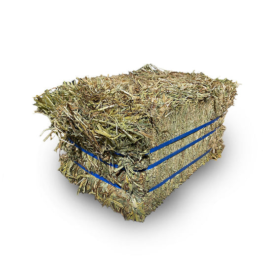 OXLEY FEED MILL Eco Bale Oaten Hay