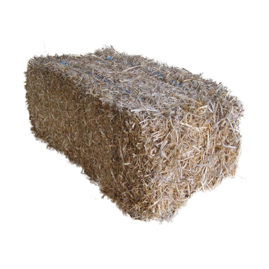Pea Straw Rectangle Bale