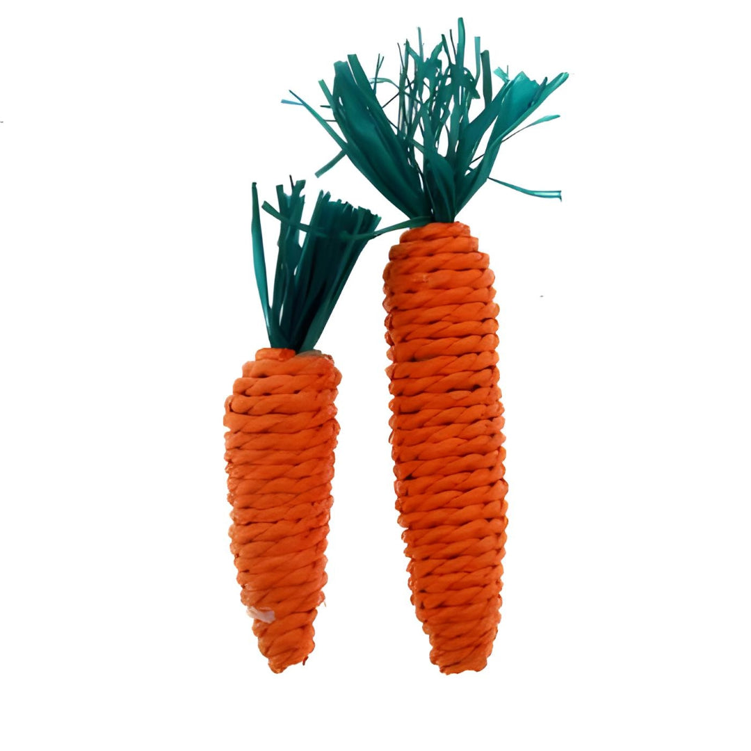 PET ONE Veggie Rope Carrots