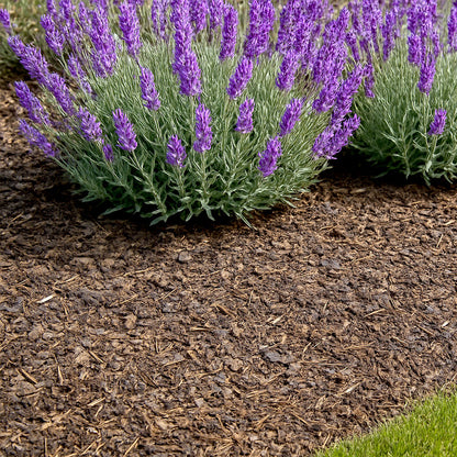 Pine Bark Chips 10mm