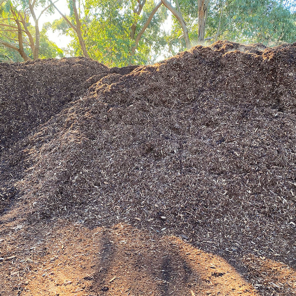 Pine Mulch
