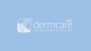 DERMCARE Aloveen Shampoo