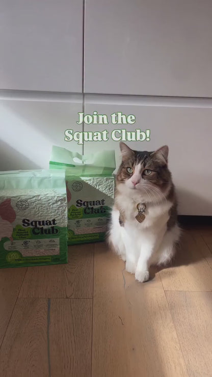 KAZOO Squat Club Plant Powered Flushable Cat Litter