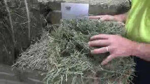 OXLEY FEED MILL Eco Bale Lucerne Hay