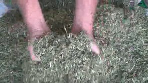 OXLEY FEED MILL Lucerne Chaff