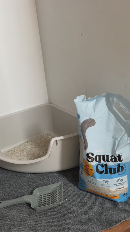 KAZOO Squat Club Fast Clumping Clay Cat Litter Lavender