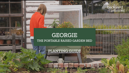 BACKYARD FARMER Georgie Raised Garden Bed