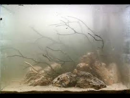 FLUVAL Quick Clear