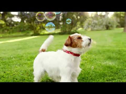 SUPERCOAT Smartblend Adult Dog Food With Beef