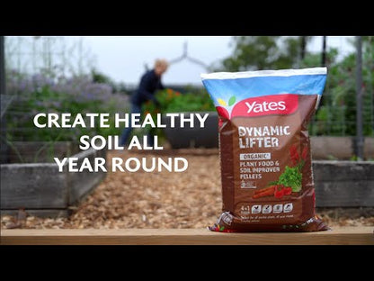 YATES Dynamic Lifter Organic Plant Food & Soil Improver Pellets