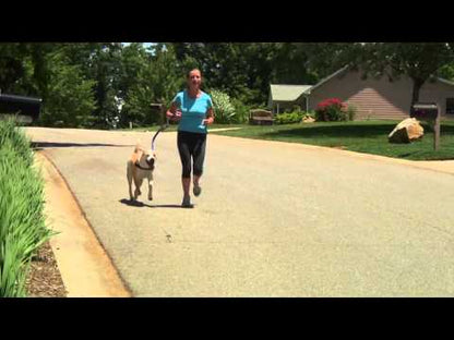 EZYDOG Zero Shock Leash