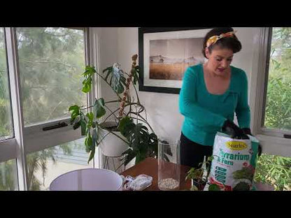 SEARLES Terrarium and Fern Specialty Mix