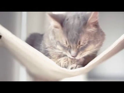 ROYAL CANIN Indoor