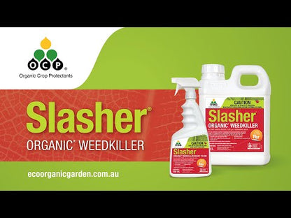 OCP Slasher Organic Weedkiller