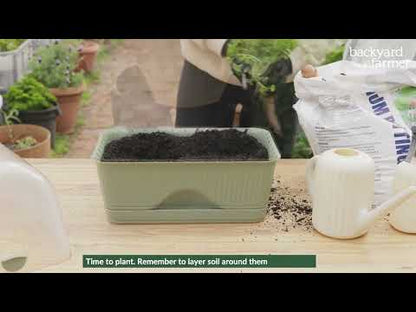 BACKYARD FARMER Lula Mini Greenhouse