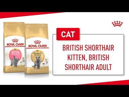 ROYAL CANIN British Shorthair Adult