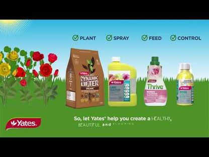 YATES Lime Sulfur Concentrate