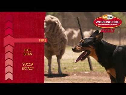 COPRICE Working Dog Adult Beef