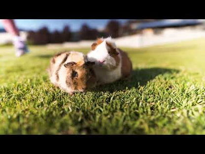 VETAFARM Cavy Origins
