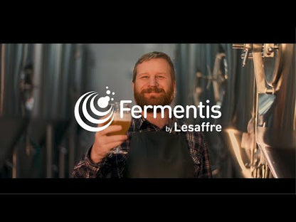 FERMENTIS SafAle US-05
