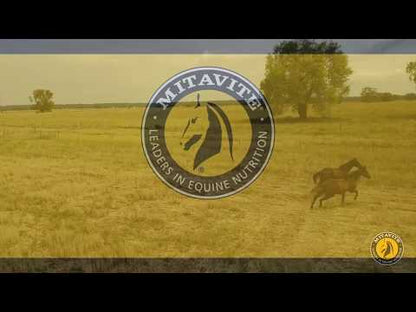 MITAVITE Economix