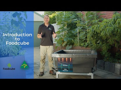 FOODCUBE