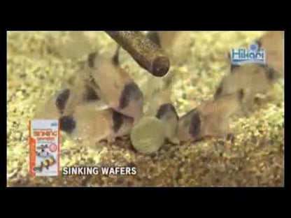 HIKARI Tropical Sinking Wafers