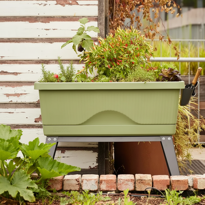 Raised Garden Planter Box