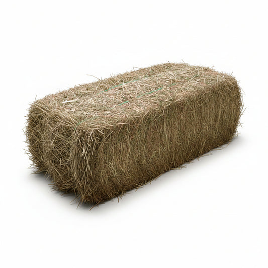 Rectangular Grass Hay Bale