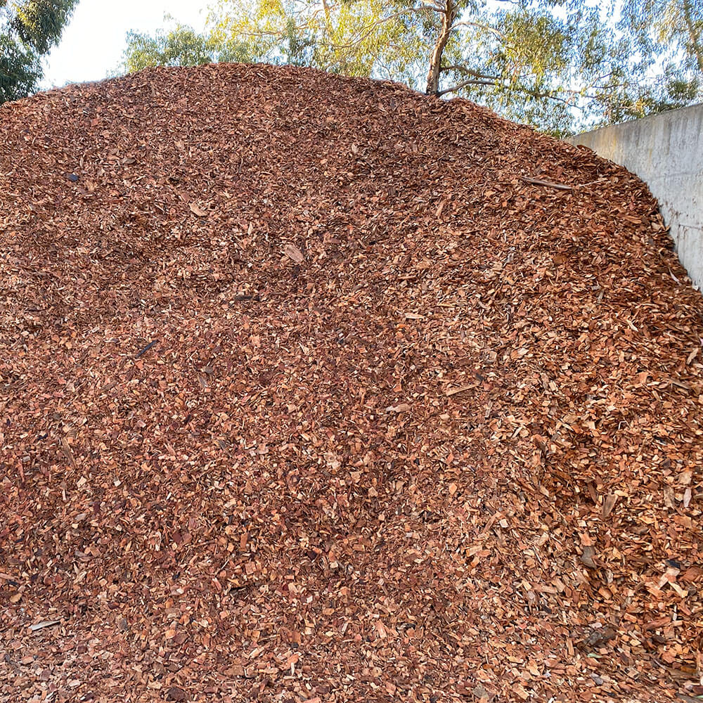 Red Gum Chips