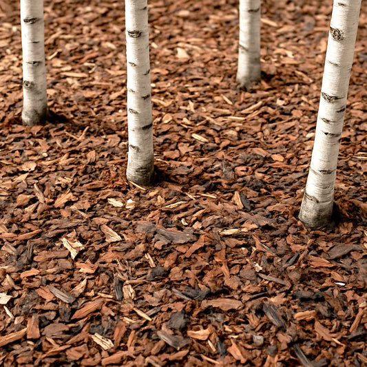 Red Gum Chips