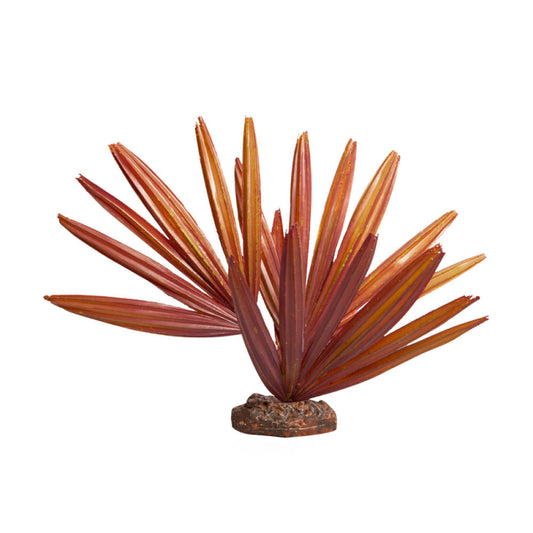 REPTILE ONE Chambeyronia Red With Ceramic Base