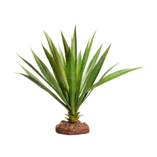 REPTILE ONE Succotrina Green With Ceramic Base