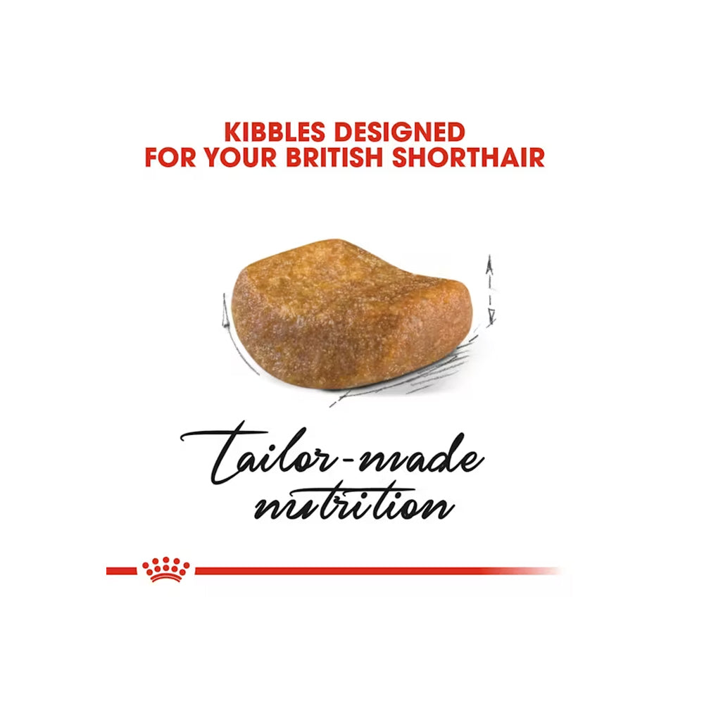 ROYAL CANIN British Shorthair Adult