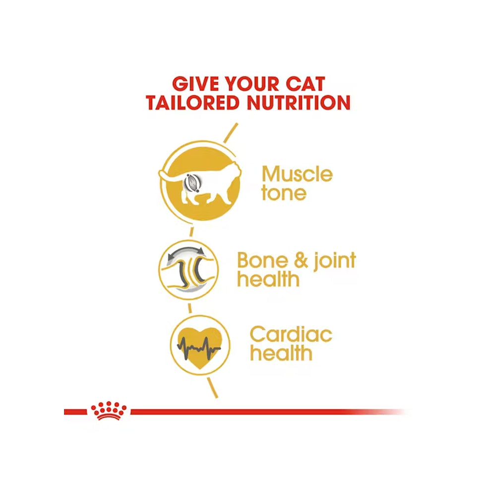 ROYAL CANIN British Shorthair Adult