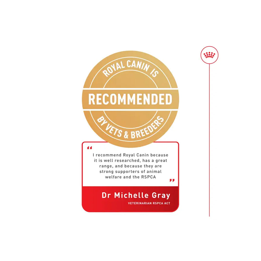 ROYAL CANIN British Shorthair Adult