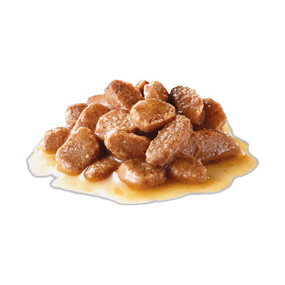 ROYAL CANIN Instinctive Chunks in Gravy
