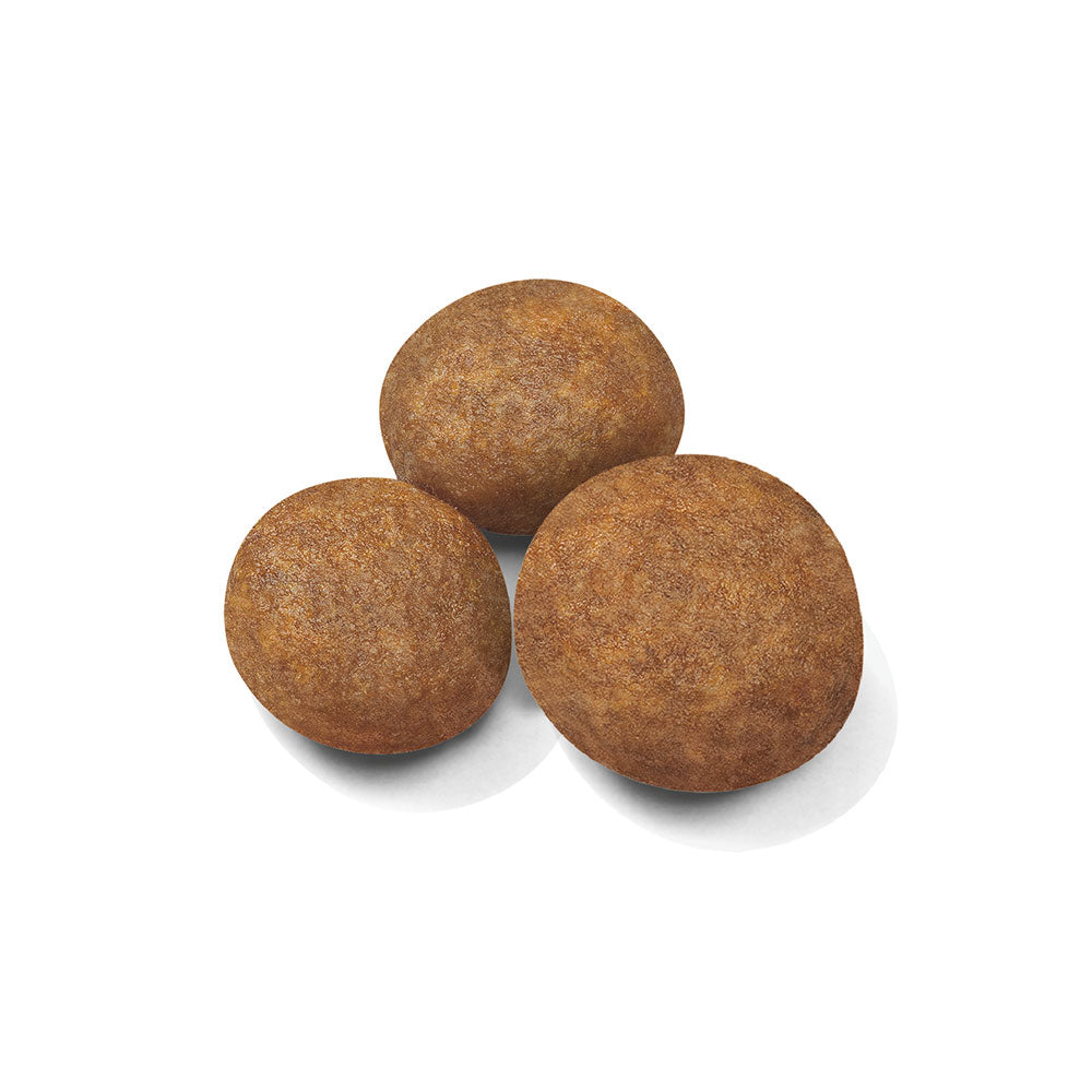 ROYAL CANIN Maxi Puppy Dry Dog Food