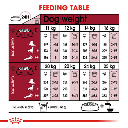 ROYAL CANIN Medium Adult Dry Dog Food
