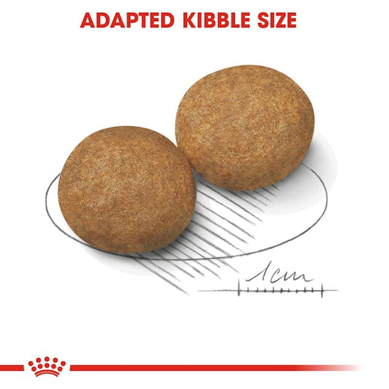 NEXGARD SPECTRA For Dogs - 15.1 to 30kg