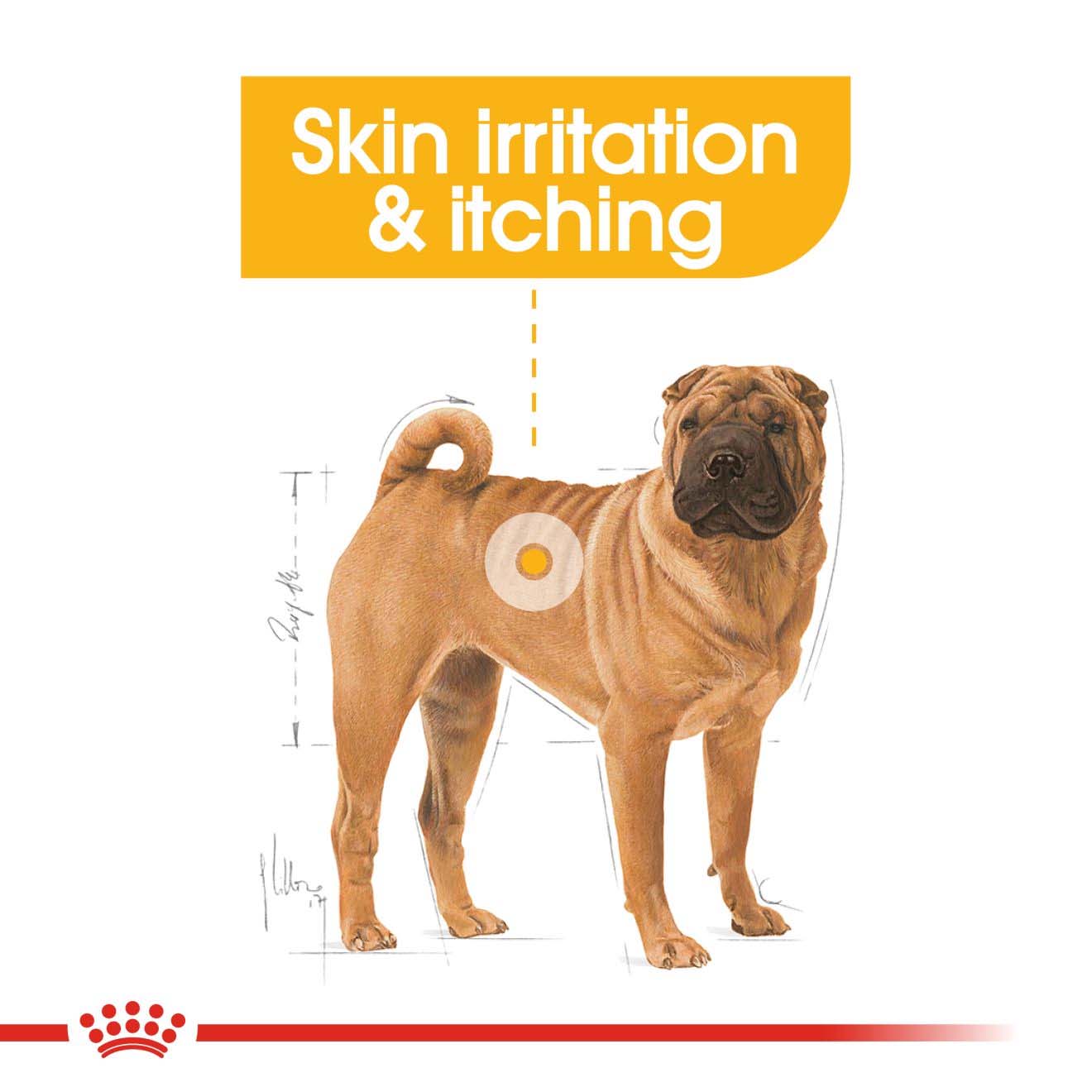 ROYAL CANIN Medium Dermacomfort Dry Dog Food