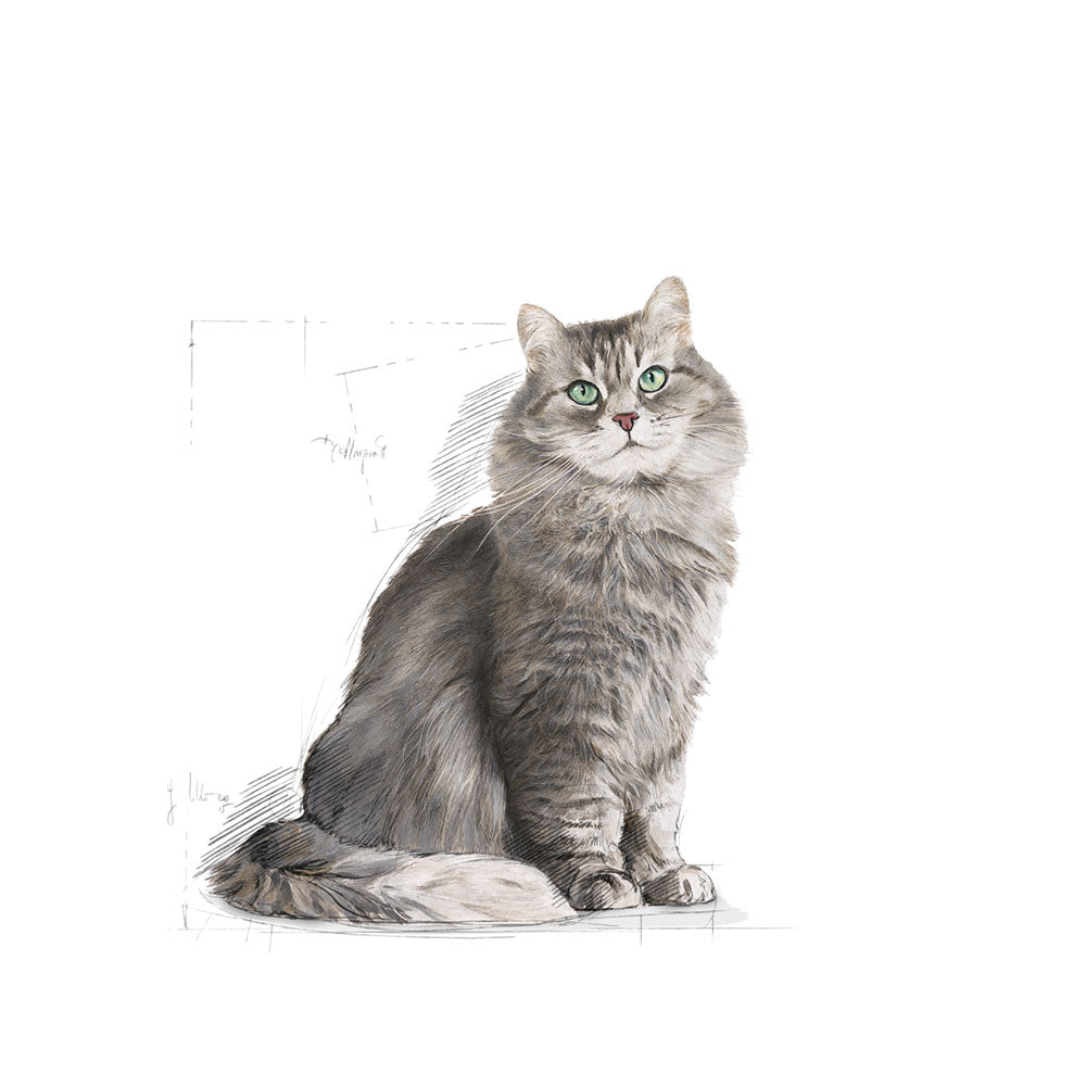 ROYAL CANIN Sensible 33
