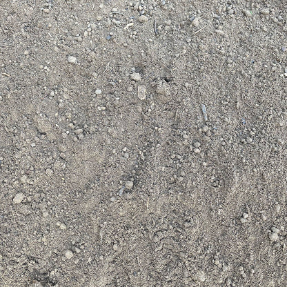 Sandy Loam